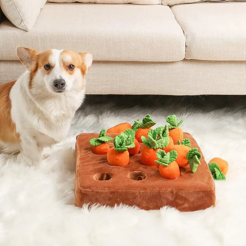 Havuç Bahçesi 🥕🐾