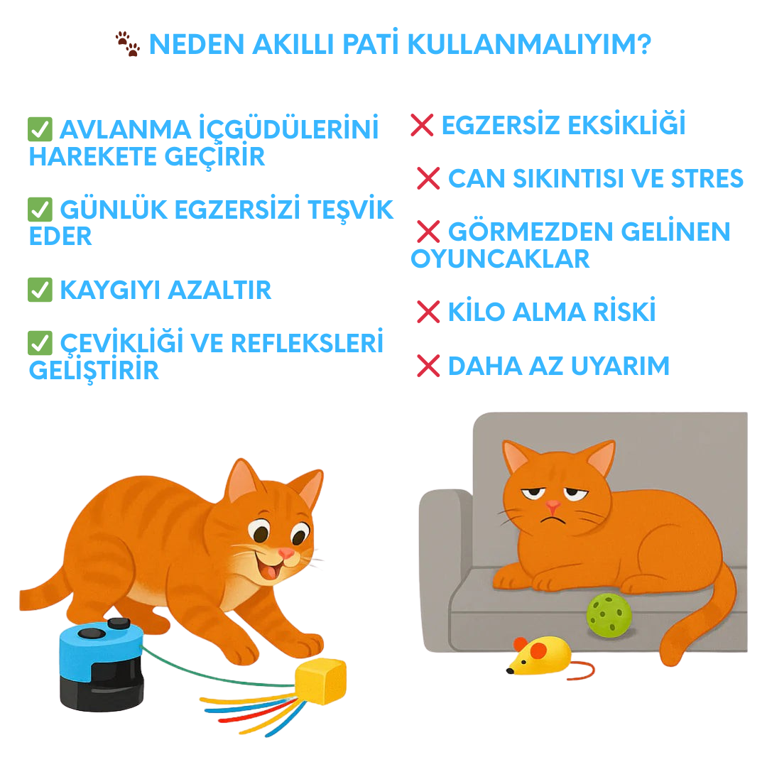 Akılı Pati