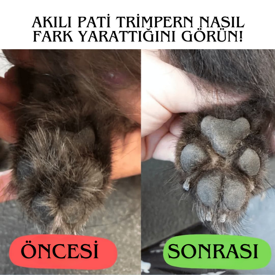 Akılı Pati Tirimper