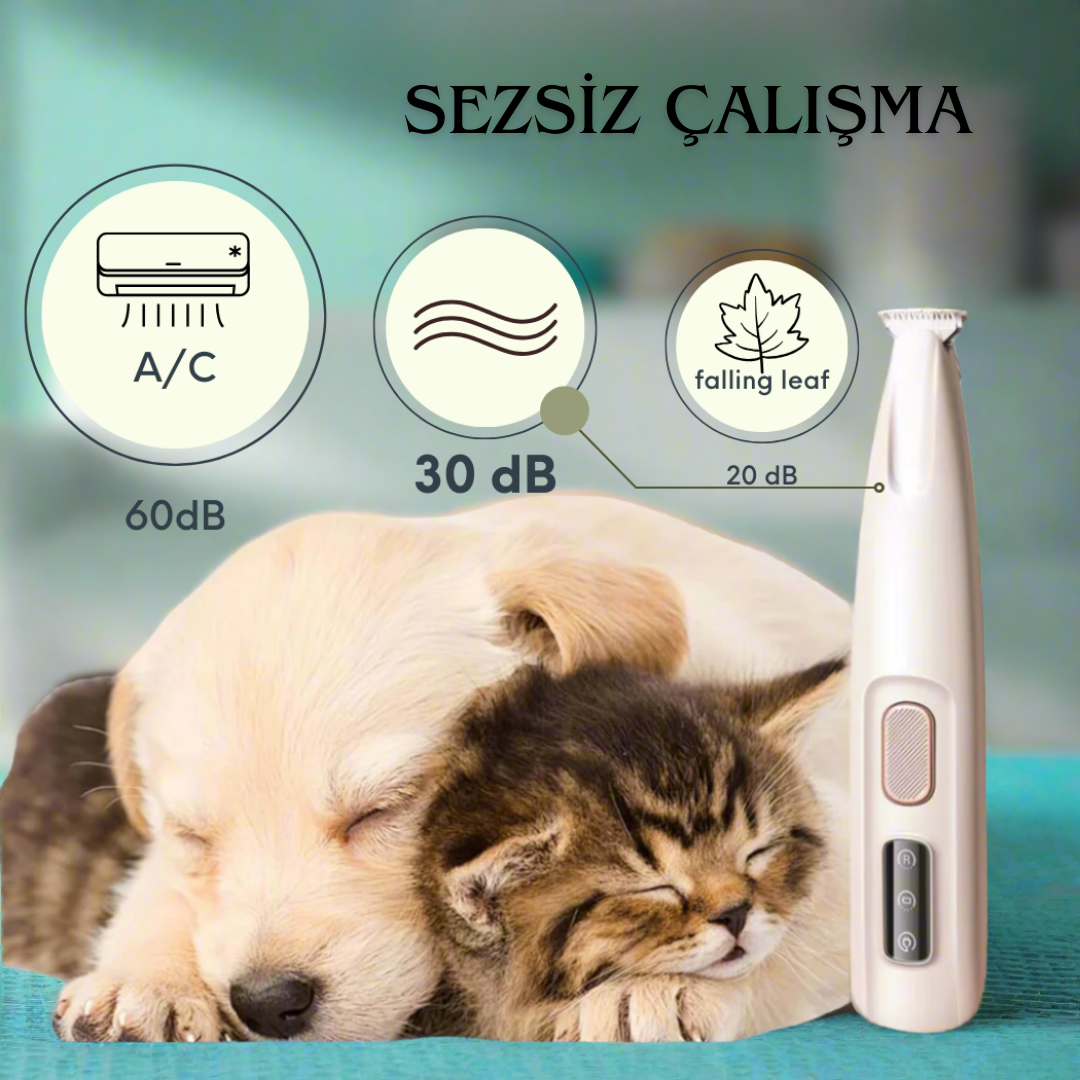 Akılı Pati Tirimper