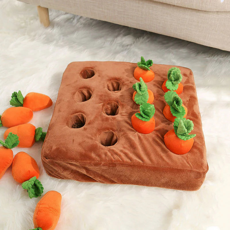 Havuç Bahçesi 🥕🐾