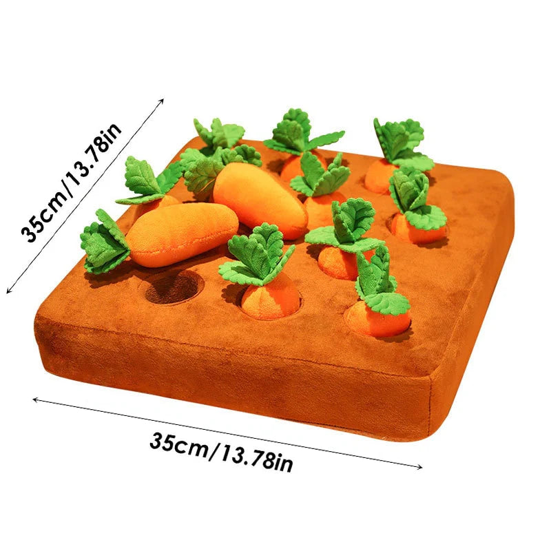 Havuç Bahçesi 🥕🐾
