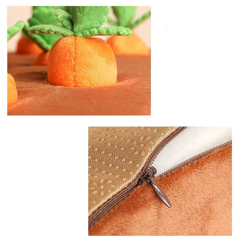 Havuç Bahçesi 🥕🐾