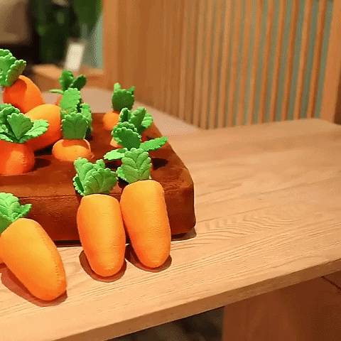 Havuç Bahçesi 🥕🐾