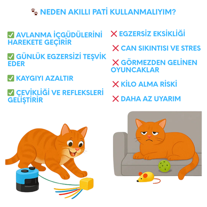Akılı Pati