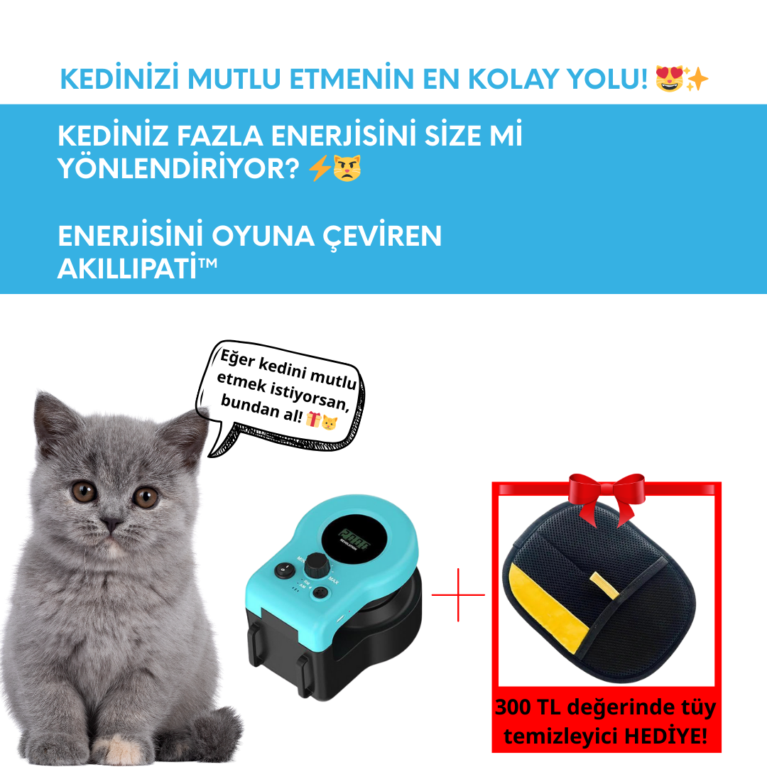 Akılı Pati