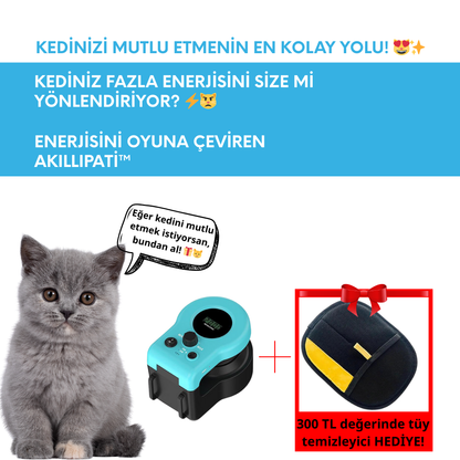 Akılı Pati