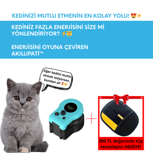 Akılı Pati