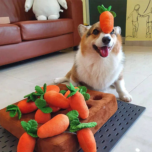 Havuç Bahçesi 🥕🐾
